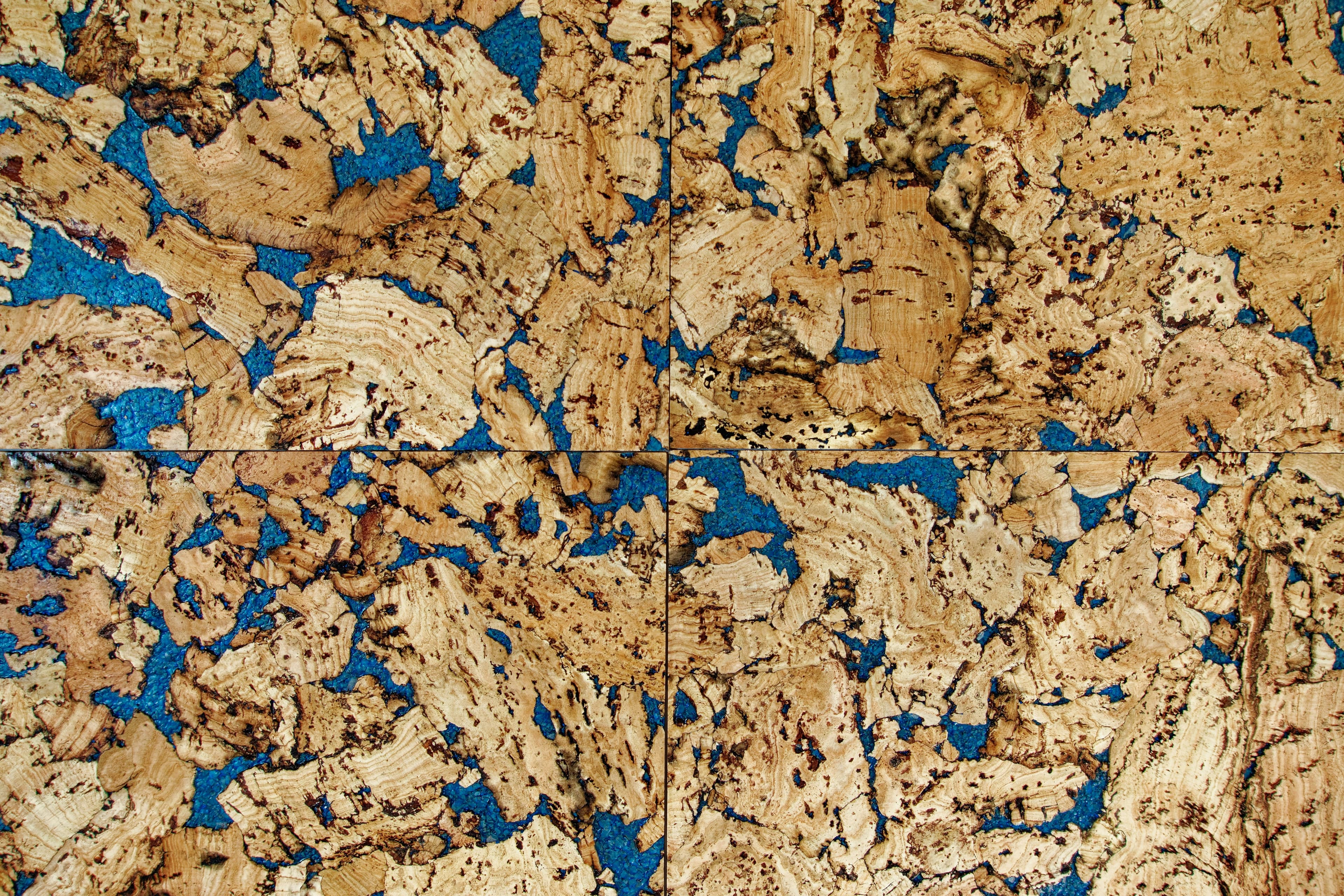 Forbo Marmoleum Linoleum